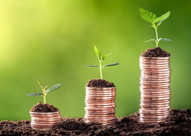 Three stacks of coins with plant shoots on top of each