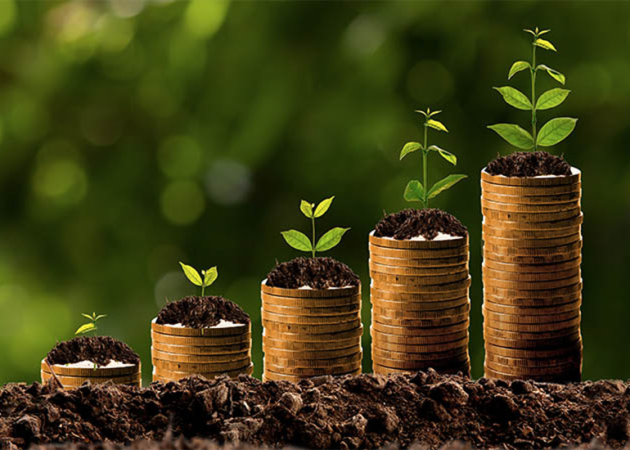 Young plants growing out of stacks of coins