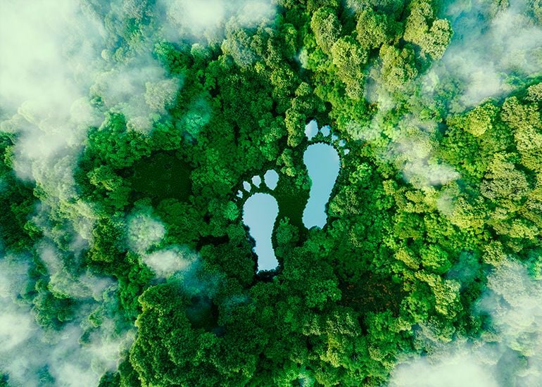 two lakes in the shape of footprints within a dense forest