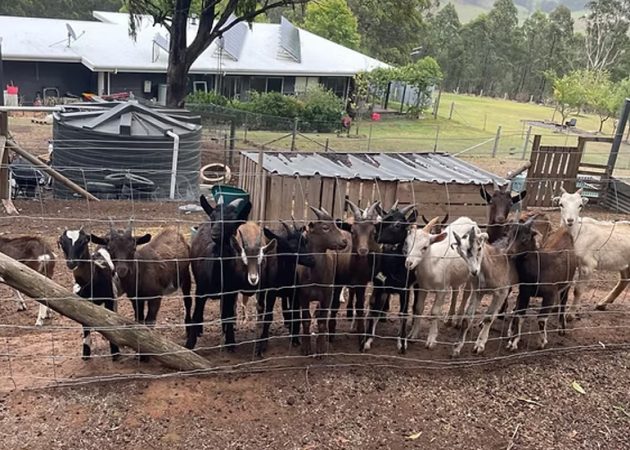 The latest additions in training for their work. Image supplied.