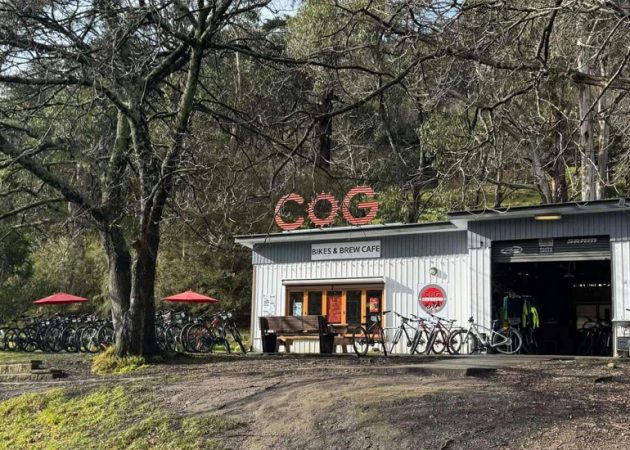 exterior of Cog Bikes