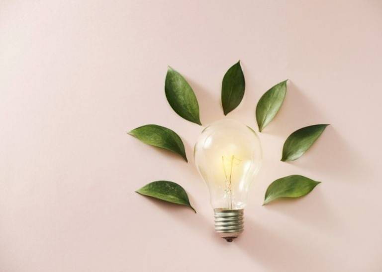Good for the earth is good for business for these five Aussie success stories