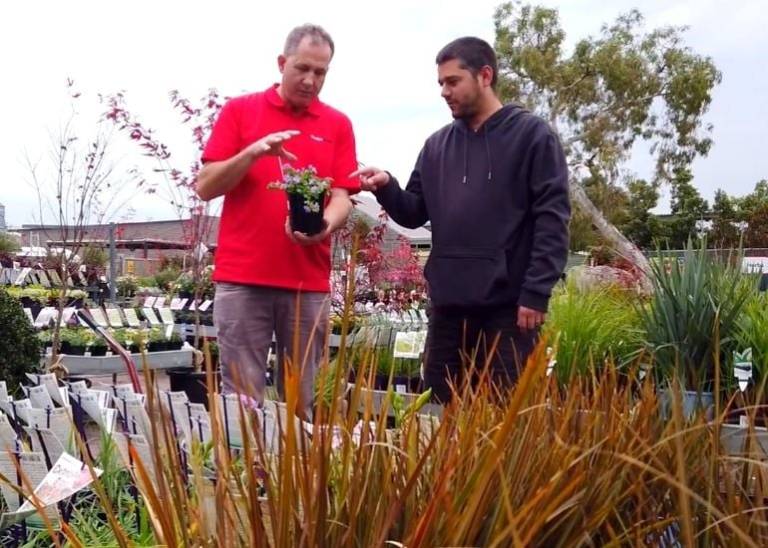 How Gardenworld is using online sales to grow