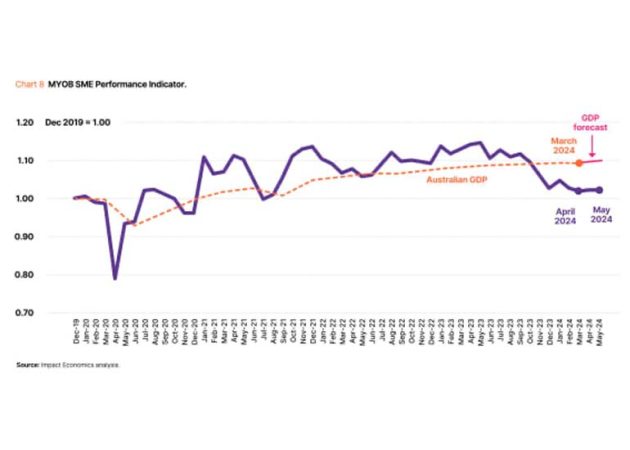 SME Performance Indicator