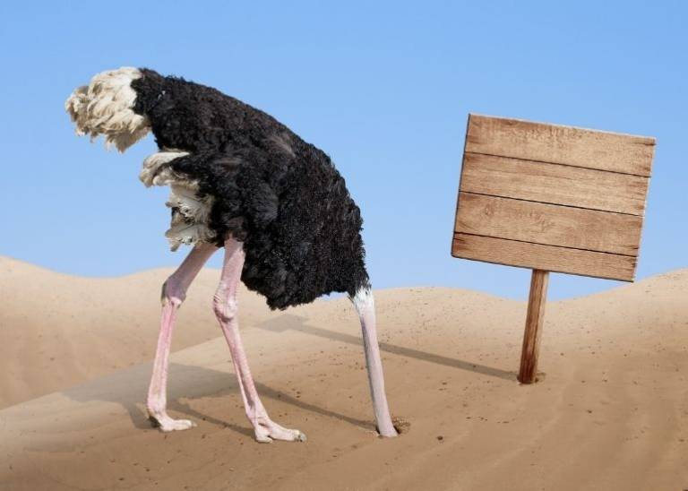 Is your business in financial strife? Speak to the ATO now to better your chances