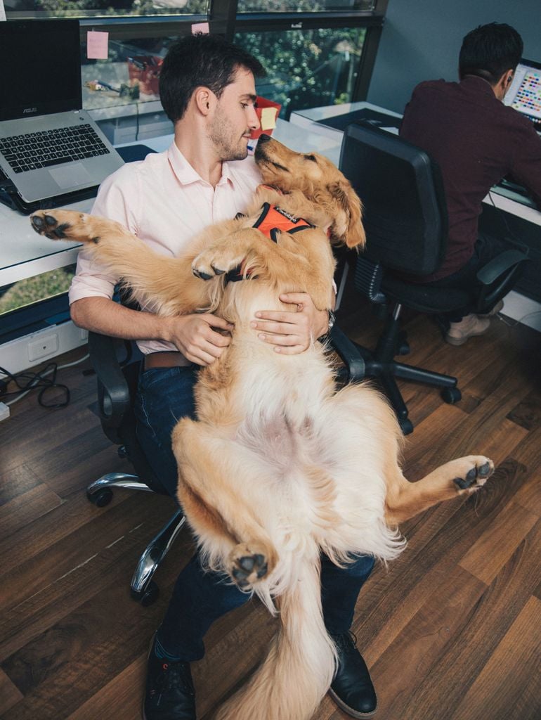 A pet-friendly office requires a pet-friendly policy. Photo by Apunto Group Agencia de publicidad via Pexels