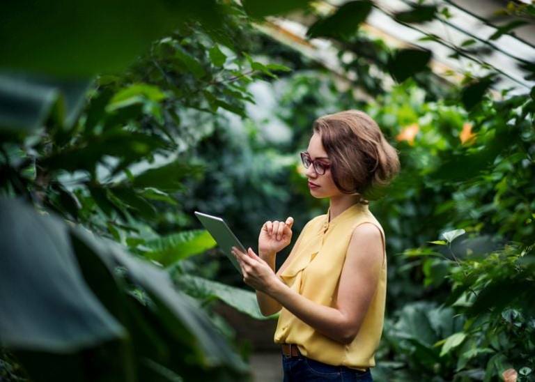 4 small business sustainability myths debunked