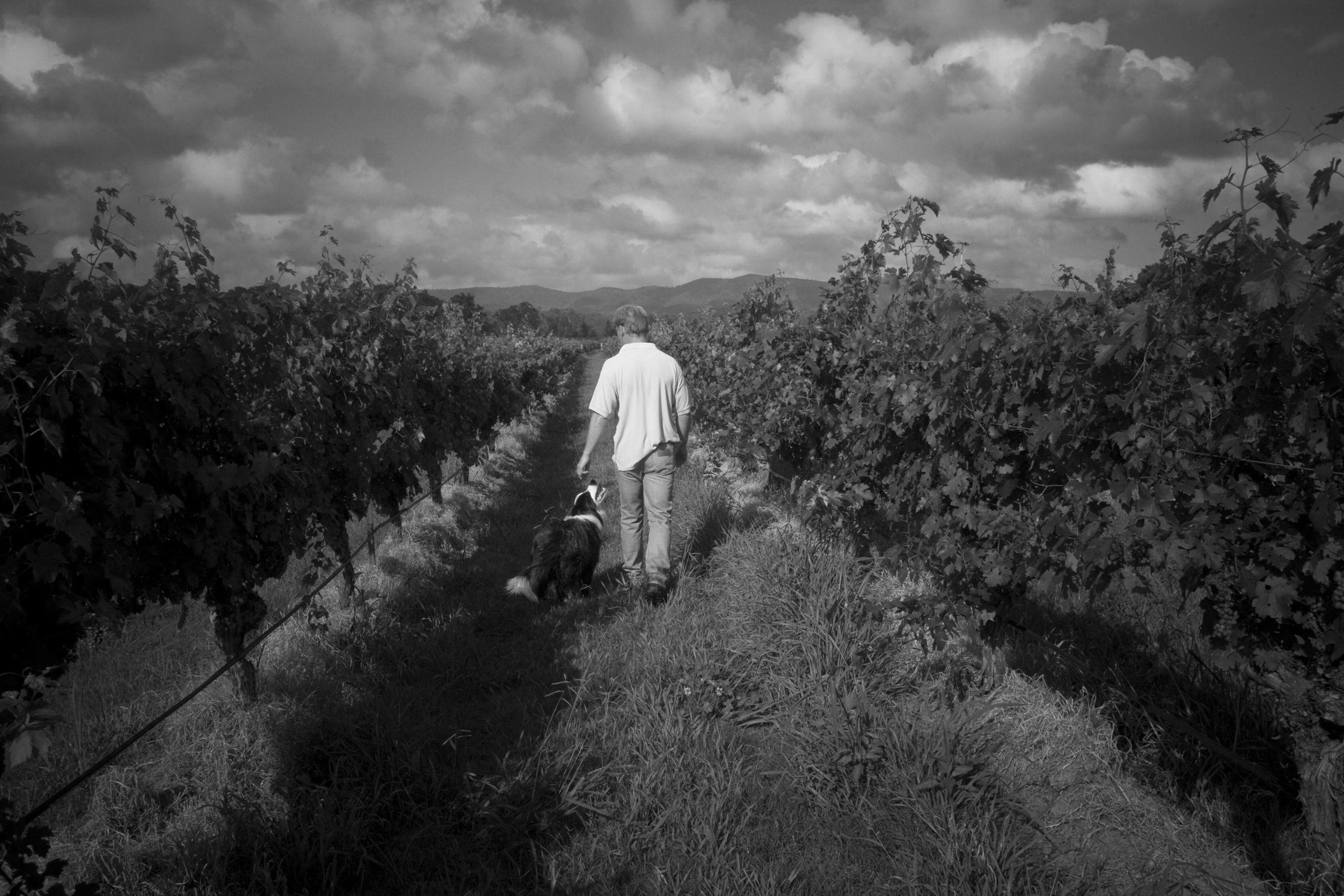 Thommo_Photo-12
