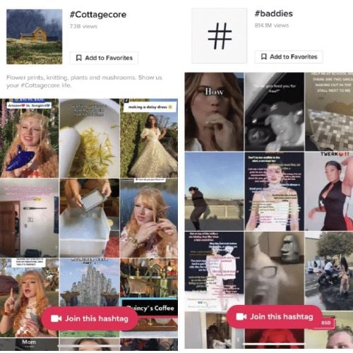 TikTok Followers - subculture hashtags