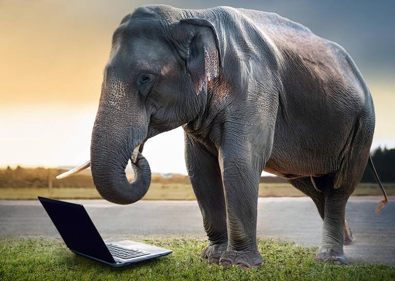 Five tips to ensure the internet’s long memory doesn’t haunt your business reputation