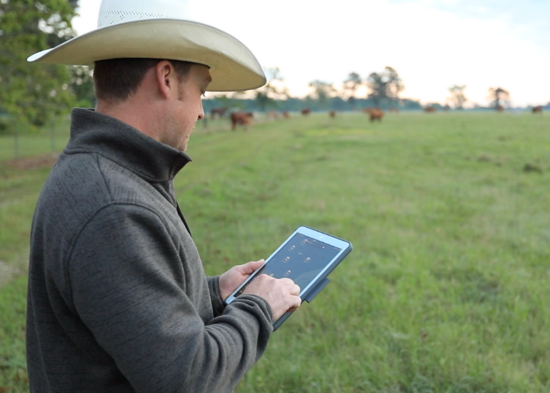 AgriWebb farmer using ipad