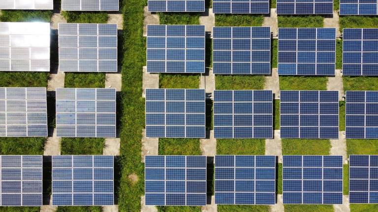 Better for business: 4 reasons why sustainability makes good business sense