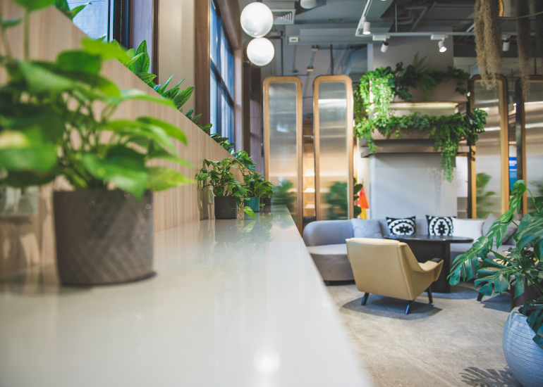 biophilic design