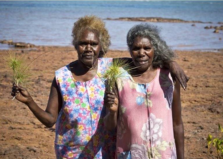 Bush Medijina: This purpose driven business wants to make Indigenous medicine mainstream