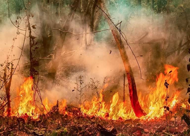 How to prepare your business for a natural disaster