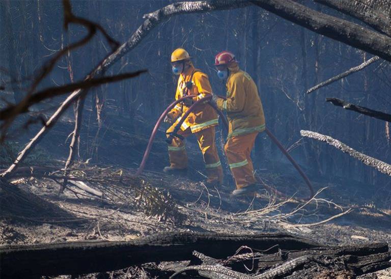 How can the government help small businesses impacted by natural disaster?