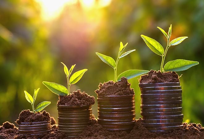 four stacks of coins with plants growing on top
