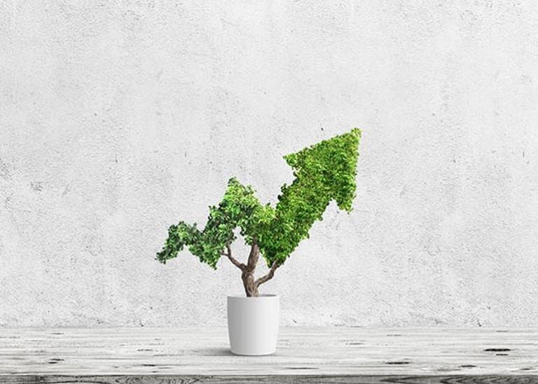 Why so many businesses struggle to grow beyond $2M