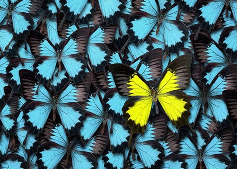 Four smart ways to make your eCommerce brand stand out from the crowd