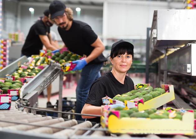 casual worker packing fruit