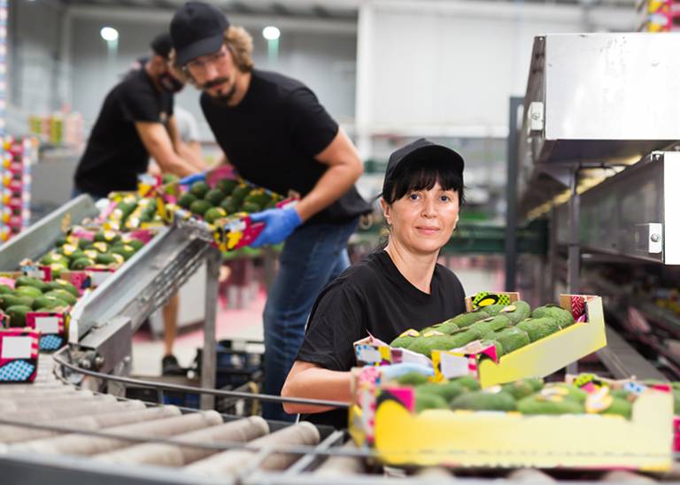 Casual employment changes explained: The legals small business owners must know