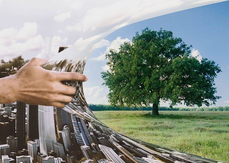 Why sustainability and climate change are every small business’ responsibility