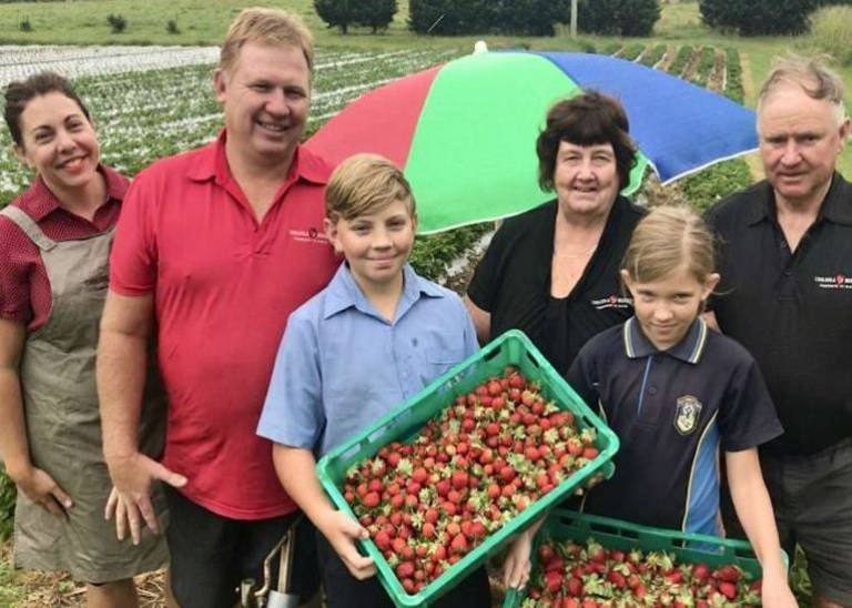 Cooloola Berries is ripe for success
