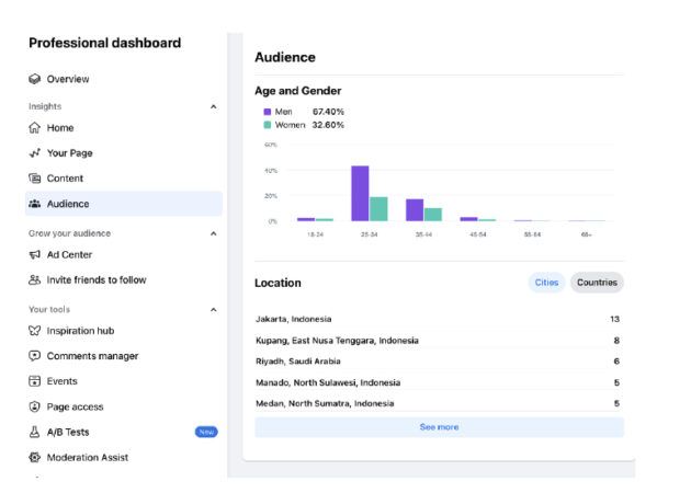 audience breakdown