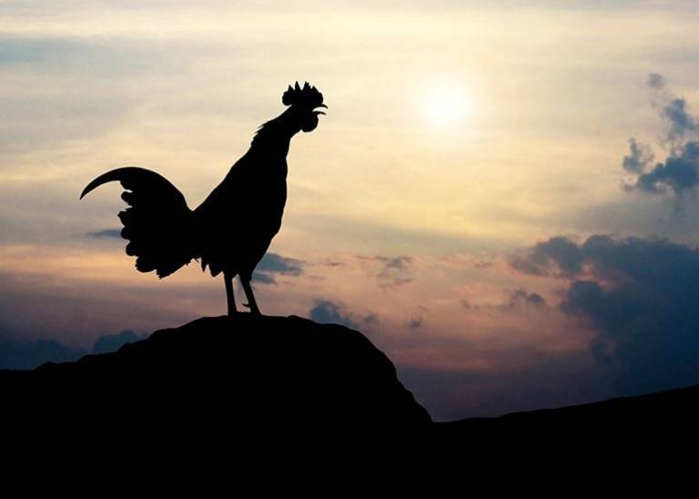 The most productive part of my day: How waking up early has changed my life