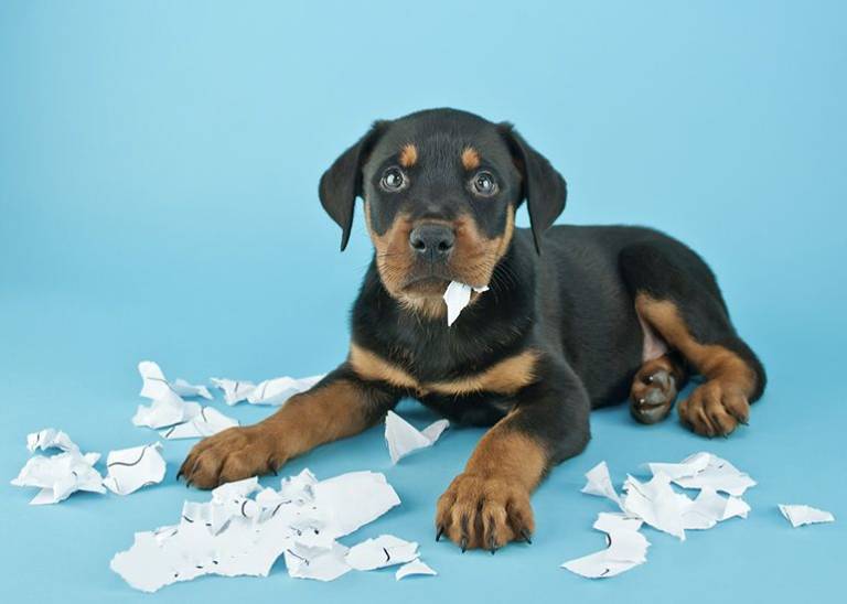 Late payment shockers: The wild excuses and brutal truths impacting small biz