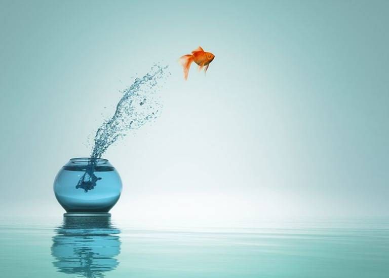 Out-of-the-box business practices: How to build a better business