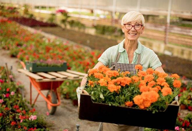 12 fantastic Queensland small businesses
