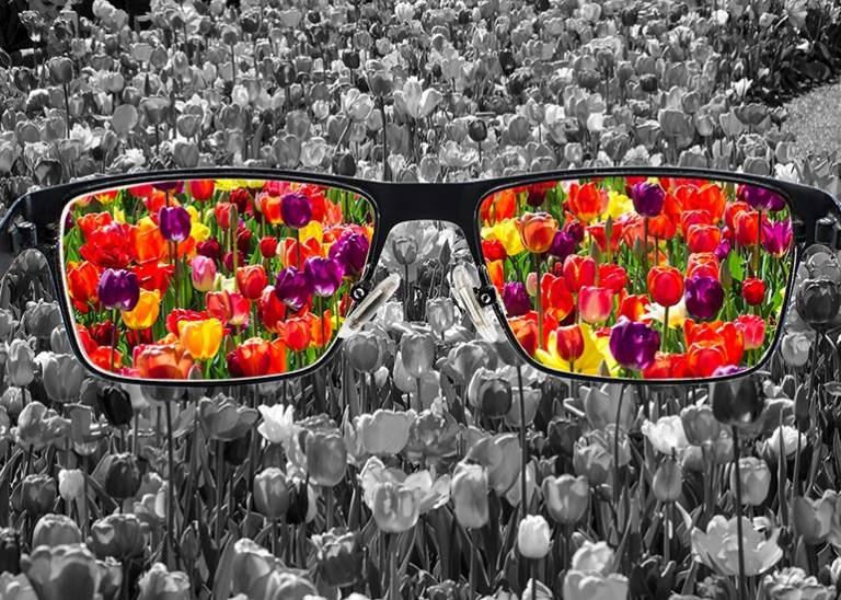 Learning to focus your mindset to navigate uncertainty and achieve success