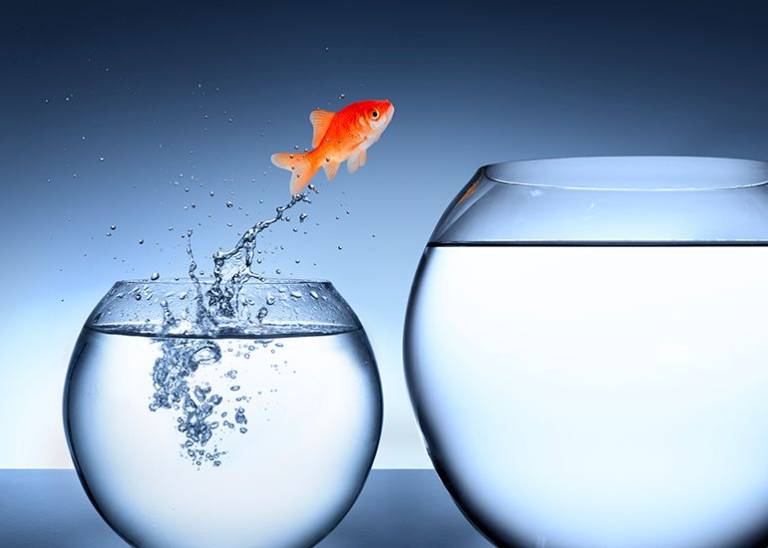 50-year business veteran says businesses who refuse to change are doomed to fail