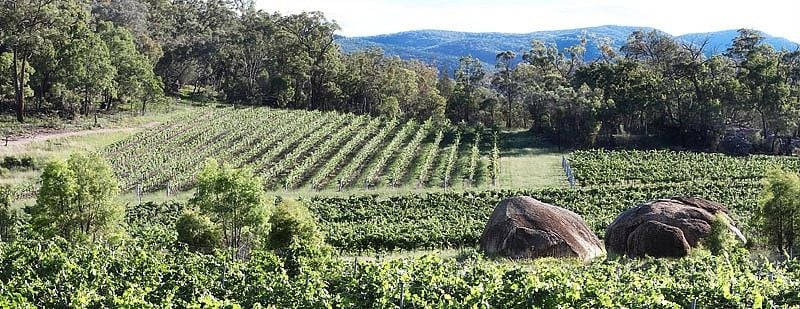 granite-belt-vineard