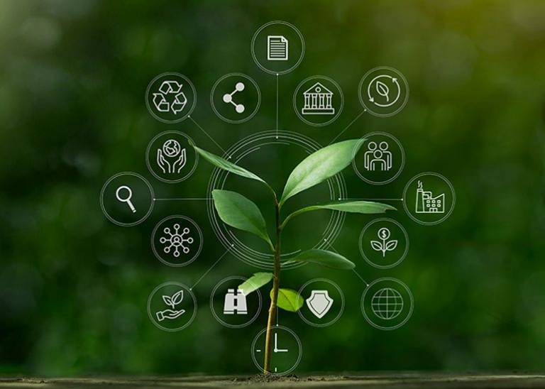 Are you making eco claims? Take a leaf out of these sustainable businesses’ playbooks