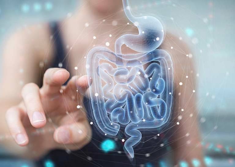 Gut feeling: How to hack your brain with better digestion
