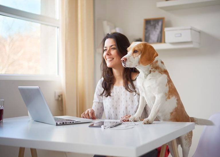 5 ways to make working from home productive and successful