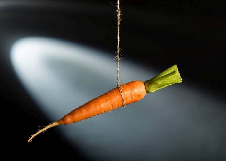 Why you need to know incentives and bribes are a problem for performance