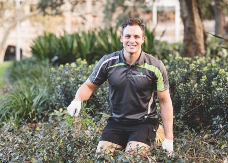 How these Sydney garden gurus grew a weekend job into a business of 14 staff