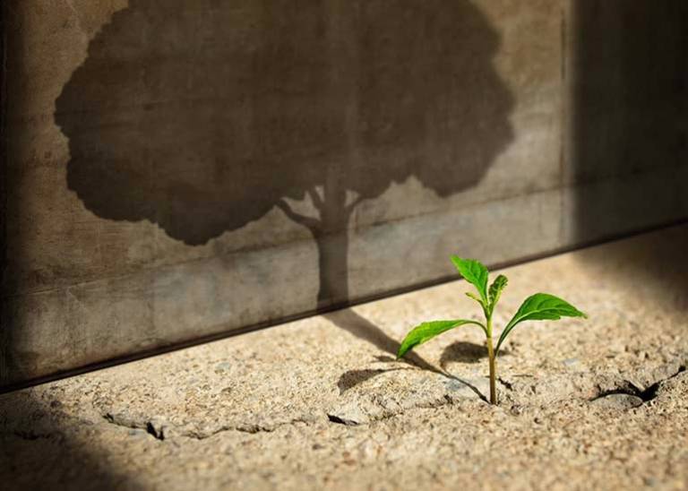 How to tackle your business with a winner’s mentality