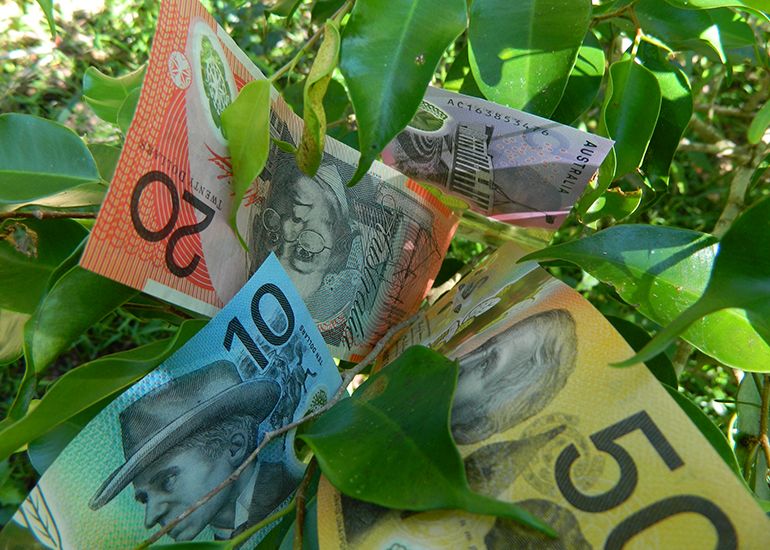 Australian cash growing on money tree