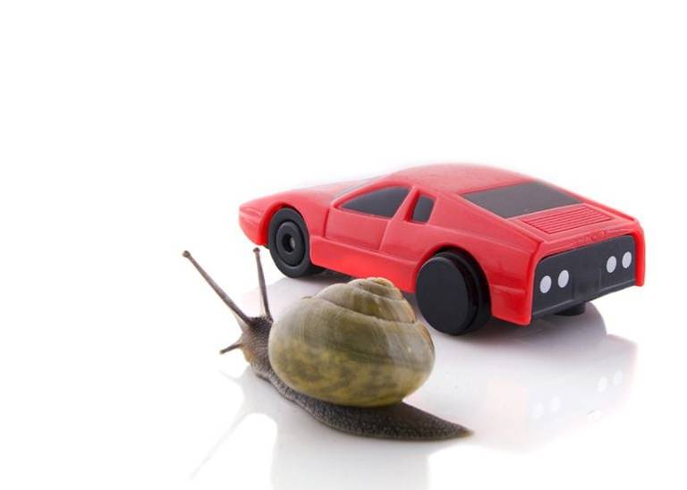 What NBN speed do you need to work from home?