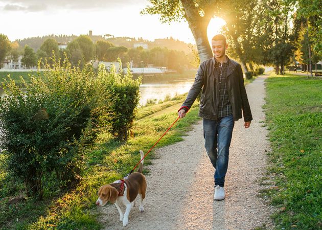 Man walking dog on path next to water