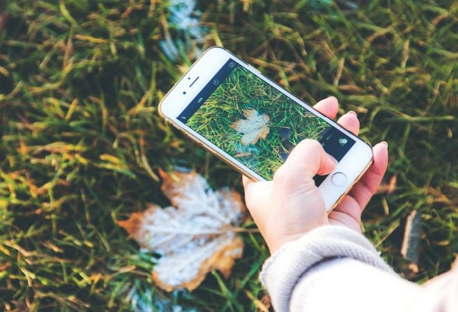 What No One Tells You About Making Images SEO Friendly