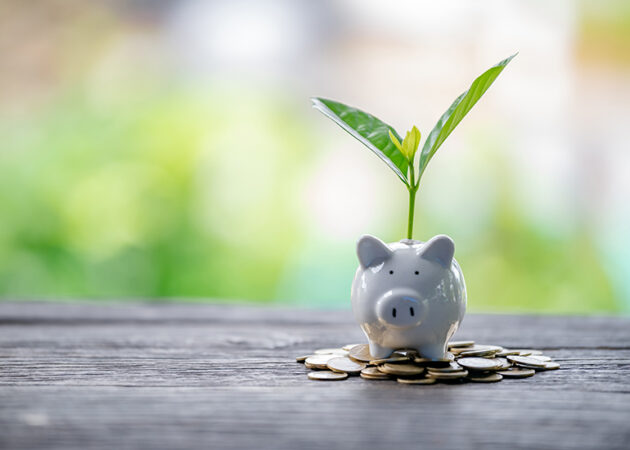 piggy bank sitting on pile of coins with plant growing out