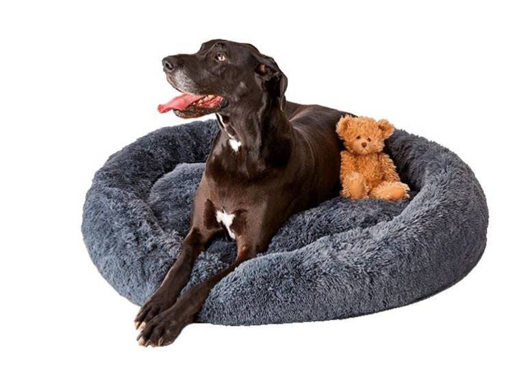 Pupnaps is helping man's best friend get a good night's sleep