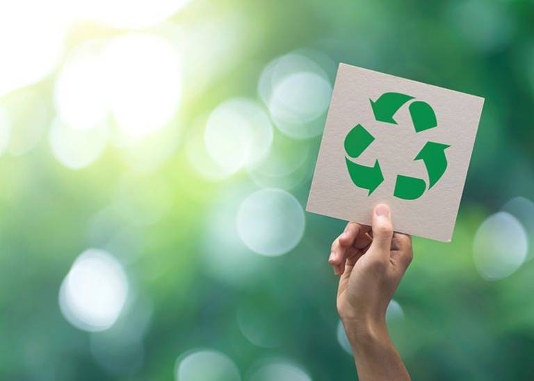 Sustainability is better for business – here’s how you can get it right