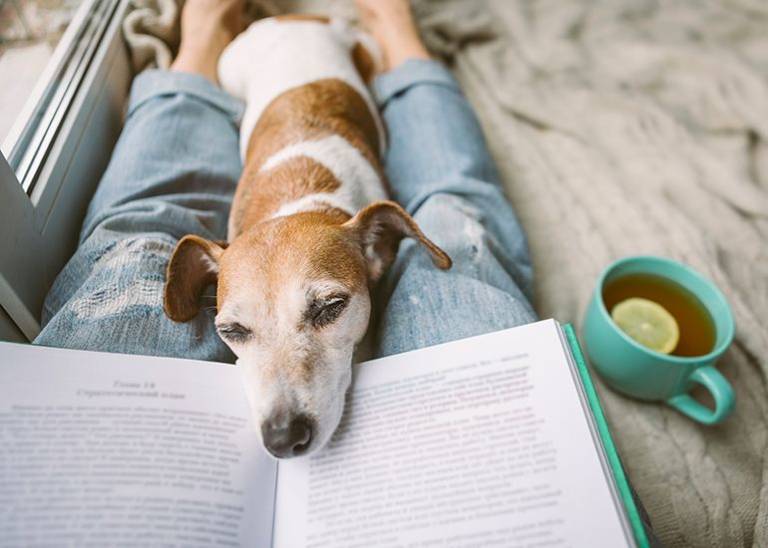 Take a break! Step aside for a day or two and watch your business thrive