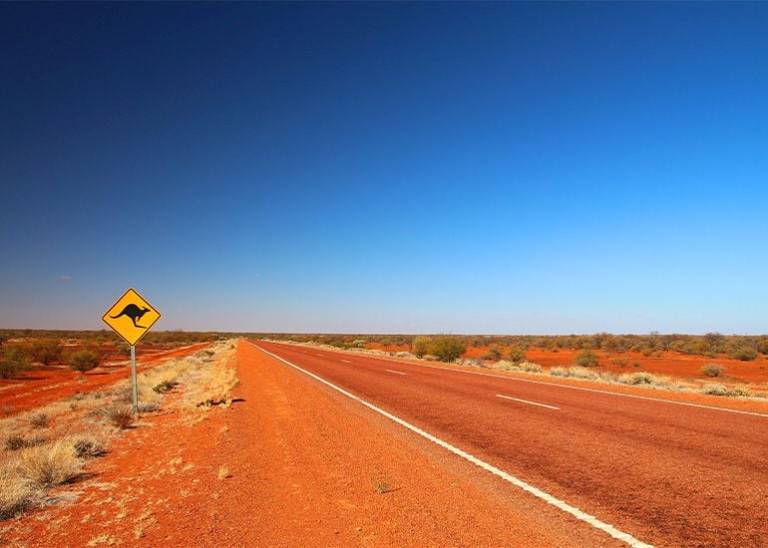 Kate Carnell: the road to small business recovery